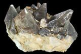 Dogtooth Calcite Crystal Cluster - Morocco #99671-2